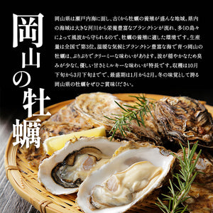 岡山県産 牡蠣 生食用 むき身 500g 生カキ 虫明産 送料無料