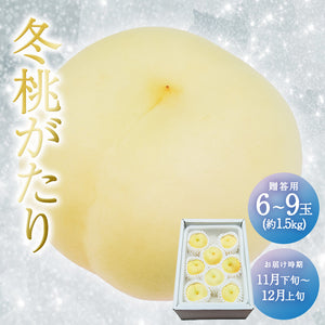 岡山県産 白桃「冬桃がたり」贈答用 6～9玉 約1.5kg 送料無料