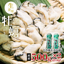 画像をギャラリービューアに読み込む, 岡山県産 牡蠣 生食用 むき身 1kg(500g×2) 生カキ 虫明産 送料無料
