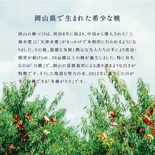 画像をギャラリービューアに読み込む, 岡山県産 白桃「冬桃がたり」贈答用 6～9玉 約1.5kg 送料無料
