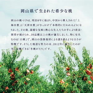 岡山県産 白桃「冬桃がたり」家庭用 6～9玉 約1.5kg 訳あり 送料無料