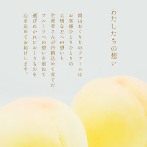 岡山県産 白桃「冬桃がたり」贈答用 6～9玉 約1.5kg 送料無料