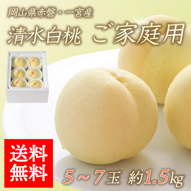 【送料無料】清水白桃 ご家庭用 5-7玉入り 約1.5kg