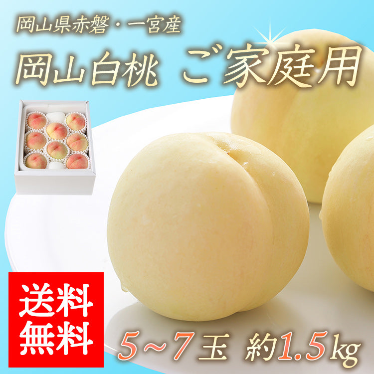 【送料無料】岡山白桃 ご家庭用 5-7玉入り 約1.5kg